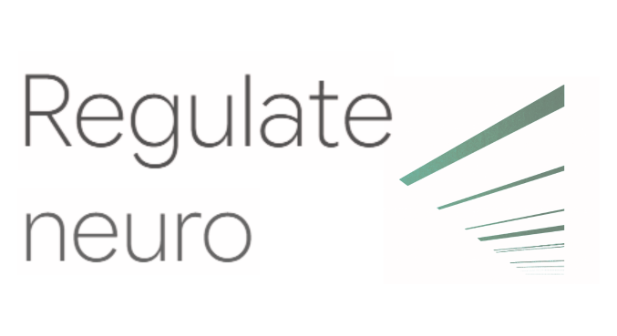 SOL flow logo